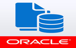 Oracle数据库管理工具有哪些?-北京ky体育（中国）官方网站公司