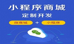 微信小程序开发、商城小程序开发功能-ky体育（中国）官方网站ky体育（中国）官方网站